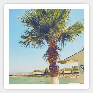 Pretty picture of a Palm Tree. Pretty Palm Trees Photography design with blue sky Sticker